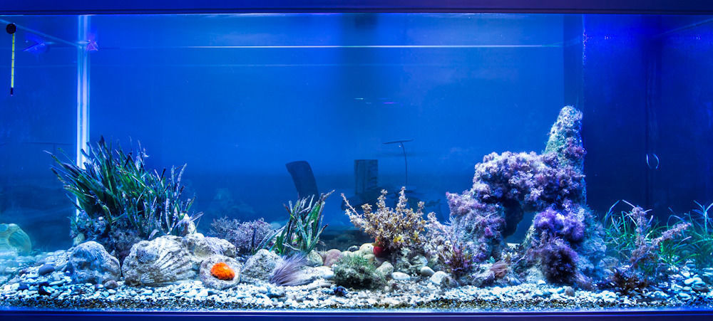 Stanze Del Mare Bed & Breakfast Balestrate ภายนอก รูปภาพ